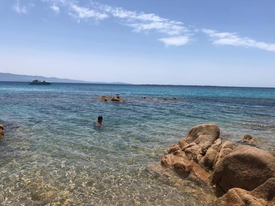 Bel App T2 En Bord De Mer Vue Sanquinaires Piscine Ajaccio  Exterior photo
