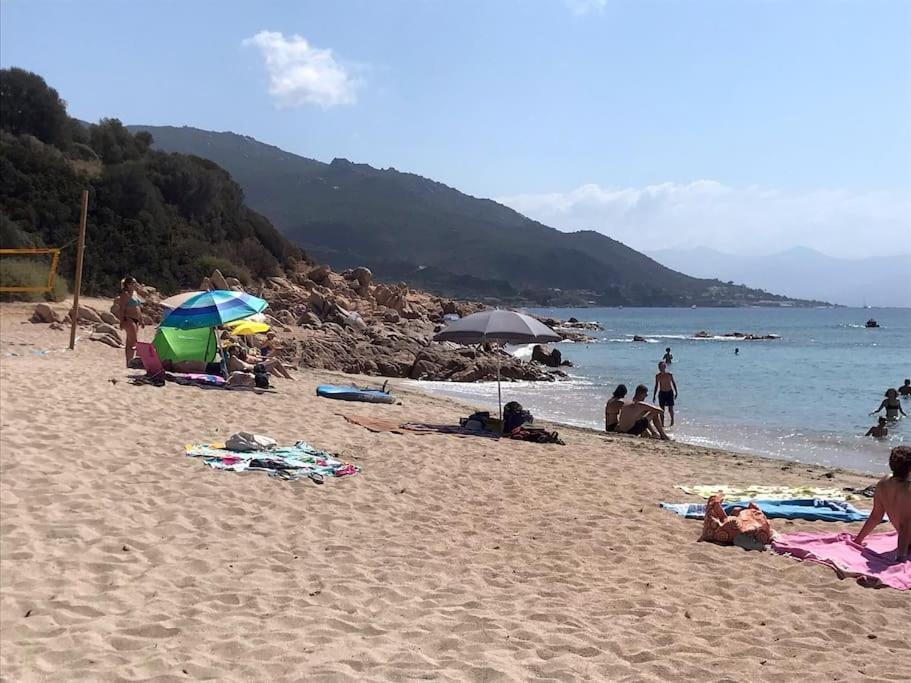 Bel App T2 En Bord De Mer Vue Sanquinaires Piscine Ajaccio  Exterior photo
